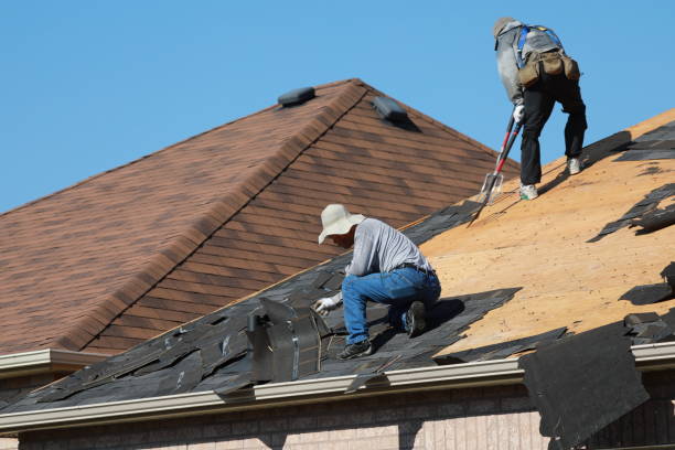 Best Wood Shake Roofing  in Dorr, MI