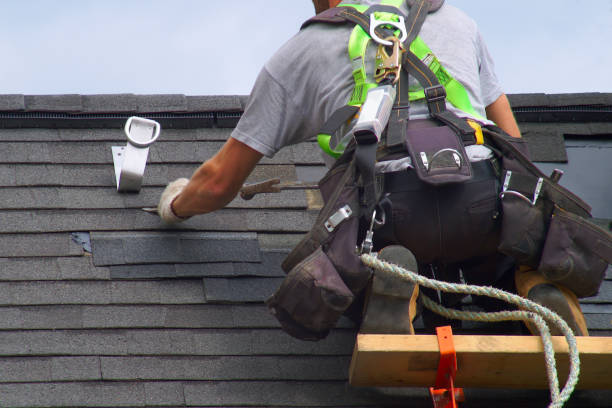 Best Gutter Installation and Repair  in Dorr, MI