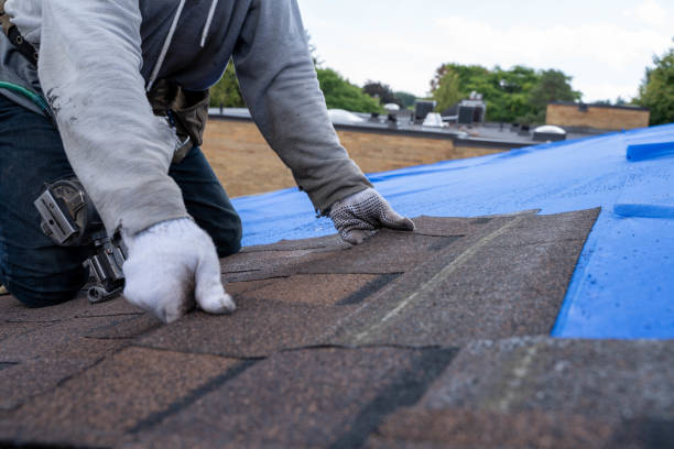 Best Chimney Flashing Repair  in Dorr, MI