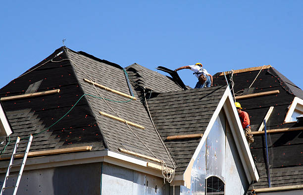 Best Storm Damage Roof Repair  in Dorr, MI