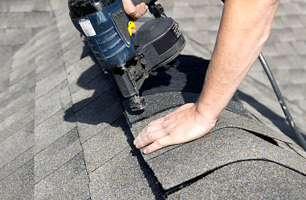 Best Roof Maintenance and Cleaning  in Dorr, MI